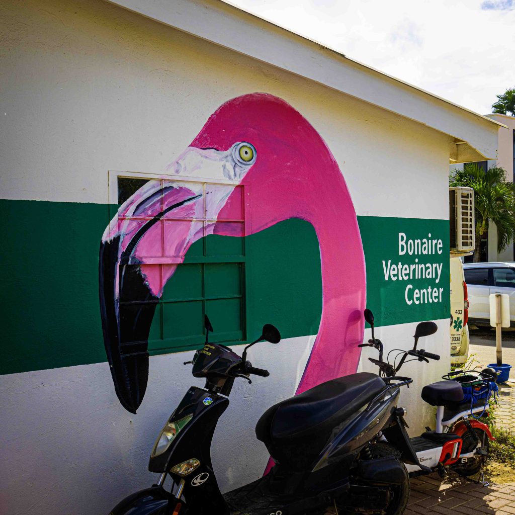 Flamingo Island Veterinary Center in Kralendijk, Bonaire